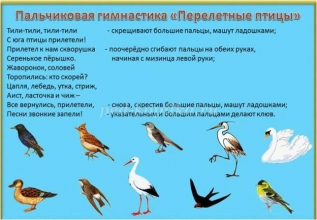 Изучаем перелетных птиц_10